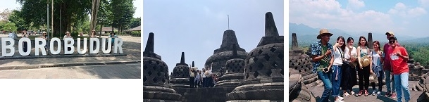 インドネシア髙木（Borobudur２）.JPG